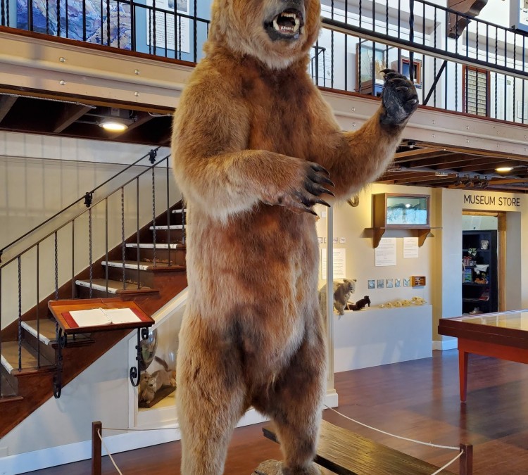Pacific Grove Museum of Natural History (Pacific&nbspGrove,&nbspCA)
